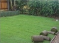 Lawn completed with some left over turf rolls